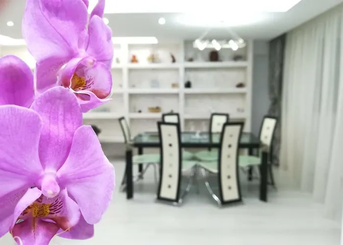 Paradise Apartment Brașov