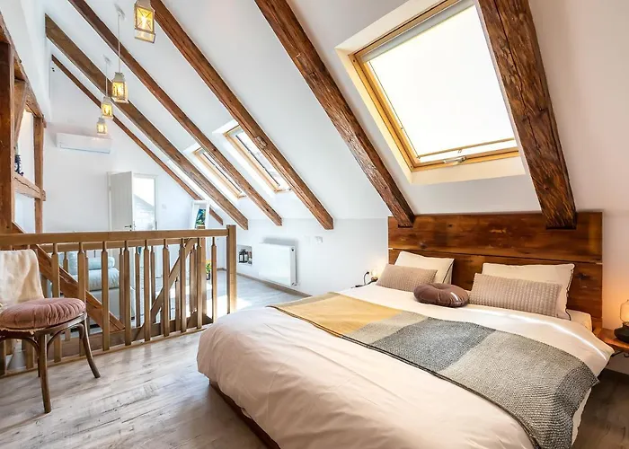 Casa Carolina Brasov Apartment