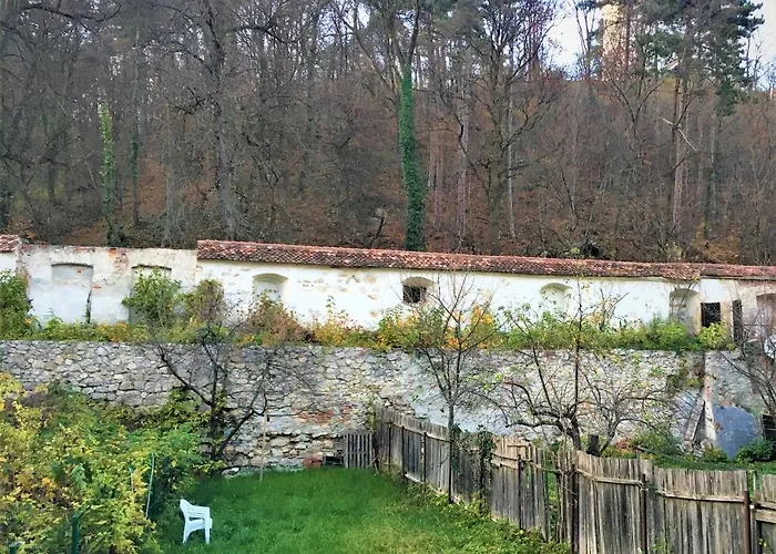 White Wolf Apartment Brașov