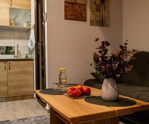 Studio Aries Postavarului Brașov