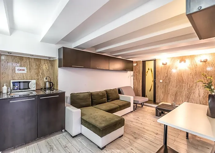 Modern Apartment in Piata Sfatului Brașov