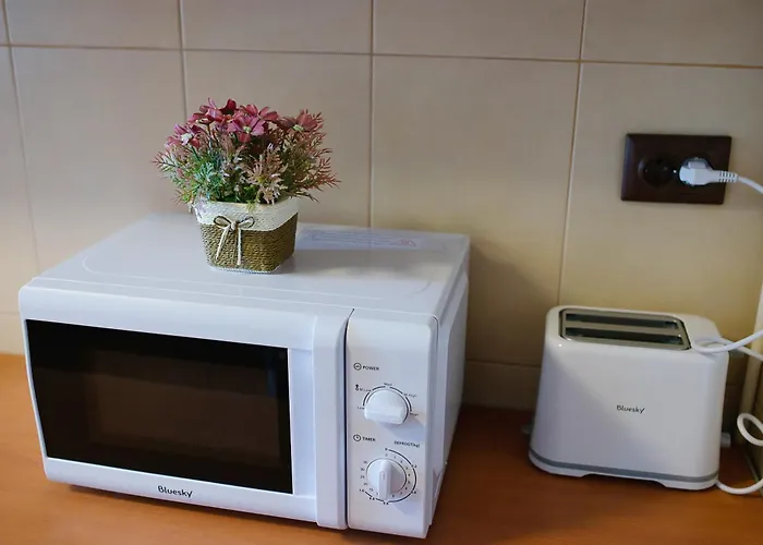 Stephanie Apartment-Centru Civic Brașov
