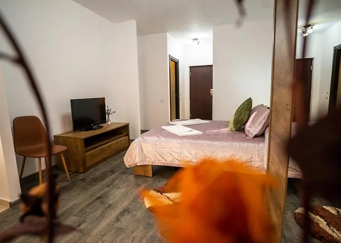 Seasons Primab Studio Brașov